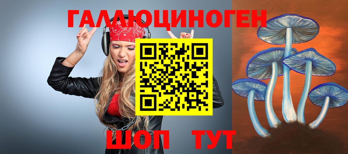 Псилоцибиновые грибы Psilocybine cubensis  Вход с VPN  Муром  Псилоцибиновые грибы GOLDEN TEACHER 